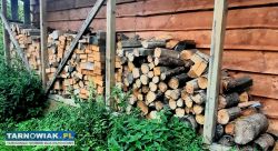 Drewno opałowe sezonowane – duża ilość – sprzedam - Obrazek 2