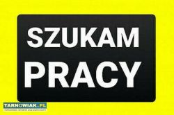 Szukam pracy na stałe na umowę - Obrazek 1