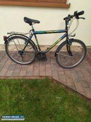 Rower - Obrazek 2