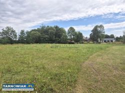 Działka 1,06 ha z własną plantacją tui i stawem - Obrazek 2