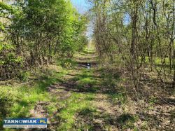 Budowlane w miejscowości mędrzechów!! - Obrazek 1