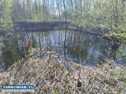 5 atrakcyjnych działek -dąbrowa tarnowska - Obrazek 4