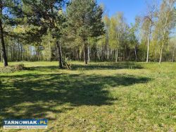 5 atrakcyjnych działek -dąbrowa tarnowska - Obrazek 3