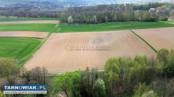 4 atrakcyjne działki budowlane -dębno - Obrazek 3