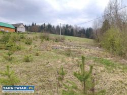Na sprzedaż dwie działki budowlane- wydane wz - Obrazek 3