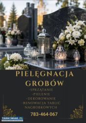 Pielęgnacja Gorbów - Obrazek 1
