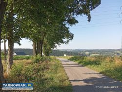 Piękne działki budowlane  w Kąsnej Górnej - Obrazek 1