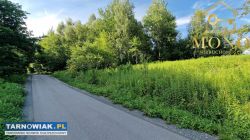 Widokowa działka rekreacyjna 10 ar-Ryglice - Obrazek 2