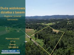 Duża, widokowa działka z lasem Pogórze Ciężkowicki - Obrazek 1