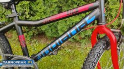 Rower 20 Indiana Figo rama 11 cali sprawny - Obrazek 2