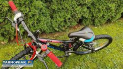 Rower 20 Indiana Figo rama 11 cali sprawny - Obrazek 3