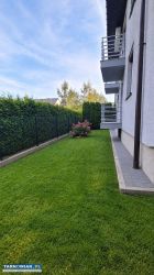 Tarnów | 4 pokoje | 60,8 m² | Bezczynszowe | Ogród - Obrazek 4