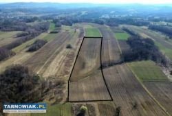 2,9 ha w Łękach Górnych - Obrazek 1