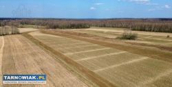2,9 ha w Łękach Górnych - Obrazek 2