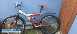 Green bike quatro - Obrazek 1