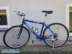Rower Giant - Obrazek 2