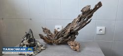 Ozdoby naturalne do akwarium - Obrazek 1