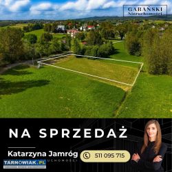 Działka 25 arów - Olszyny, gm. Rzepie. Strzyżewski - Obrazek 1