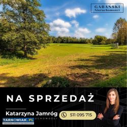 Działka 25 arów - Olszyny, gm. Rzepie. Strzyżewski - Obrazek 4