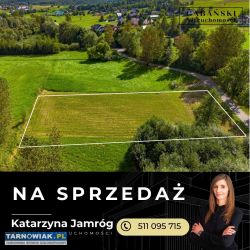 Działka 25 arów - Olszyny, gm. Rzepie. Strzyżewski - Obrazek 2
