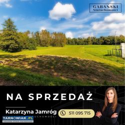 Działka 25 arów - Olszyny, gm. Rzepie. Strzyżewski - Obrazek 3