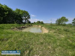 Wyjątkowa okazja! Dom z dużą działką i stawem. - Obrazek 2