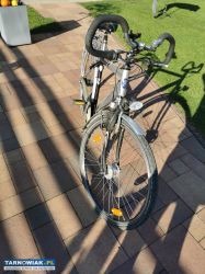 Rower peugeot - Obrazek 2