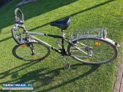 Rower peugeot - Obrazek 3