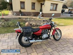 Kawasaki Eliminator 125 - Obrazek 4
