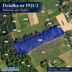Działka rolno-budowlana 9124 m², Zalasowa - Obrazek 1