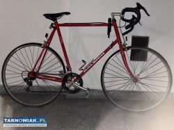 Rower Raleigh - Obrazek 2