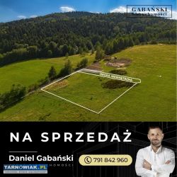 Działka budowlana - Słona, gm. Zakliczyn - Obrazek 3