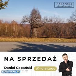 Duża działka budowlana - Dąbrówka Szczepanowska - Obrazek 3