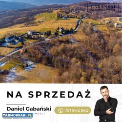 Duża działka budowlana - Dąbrówka Szczepanowska - Obrazek 2