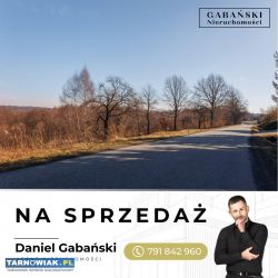 Duża działka budowlana - Dąbrówka Szczepanowska - Obrazek 4