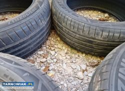 Opony letnie 205/50R17 Mazzini - Obrazek 3