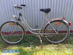 Rower damka - Obrazek 1