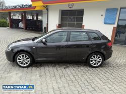 Audi a3 2.0 turbo quattro !!! - Obrazek 3