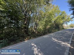 23,88 ara w tuchowie – 99 000 . - Obrazek 1