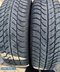 Opony zimowe 185/60R15 Dębica frigo 2 - Obrazek 1