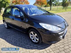 Peugeot 307 1.6 2007r - Obrazek 1