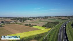 1,54 ha gruntów rolnych Tarnów/Pawęzów - Obrazek 1