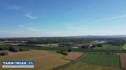 1,54 ha gruntów rolnych Tarnów/Pawęzów - Obrazek 3