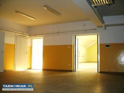 pawilon 570m2-ok. Radłowa - Obrazek 3