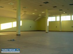 pawilon 570m2-ok. Radłowa - Obrazek 4