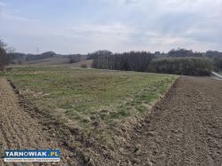 Szynwałd - widokowa , działka budowlana , 12 ar - Obrazek 2