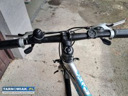 rower damski dewron - Obrazek 4