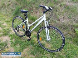 Rower trekkingowy damka koła 28 alu rama - Obrazek 2