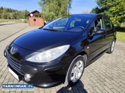 Peugeot 307 1.6 2007r - Obrazek 2