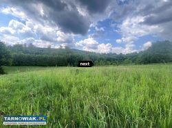 Działka z wz -Łęki górne - Obrazek 2